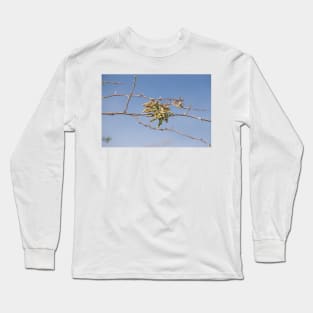 Screwbean mesquite Long Sleeve T-Shirt